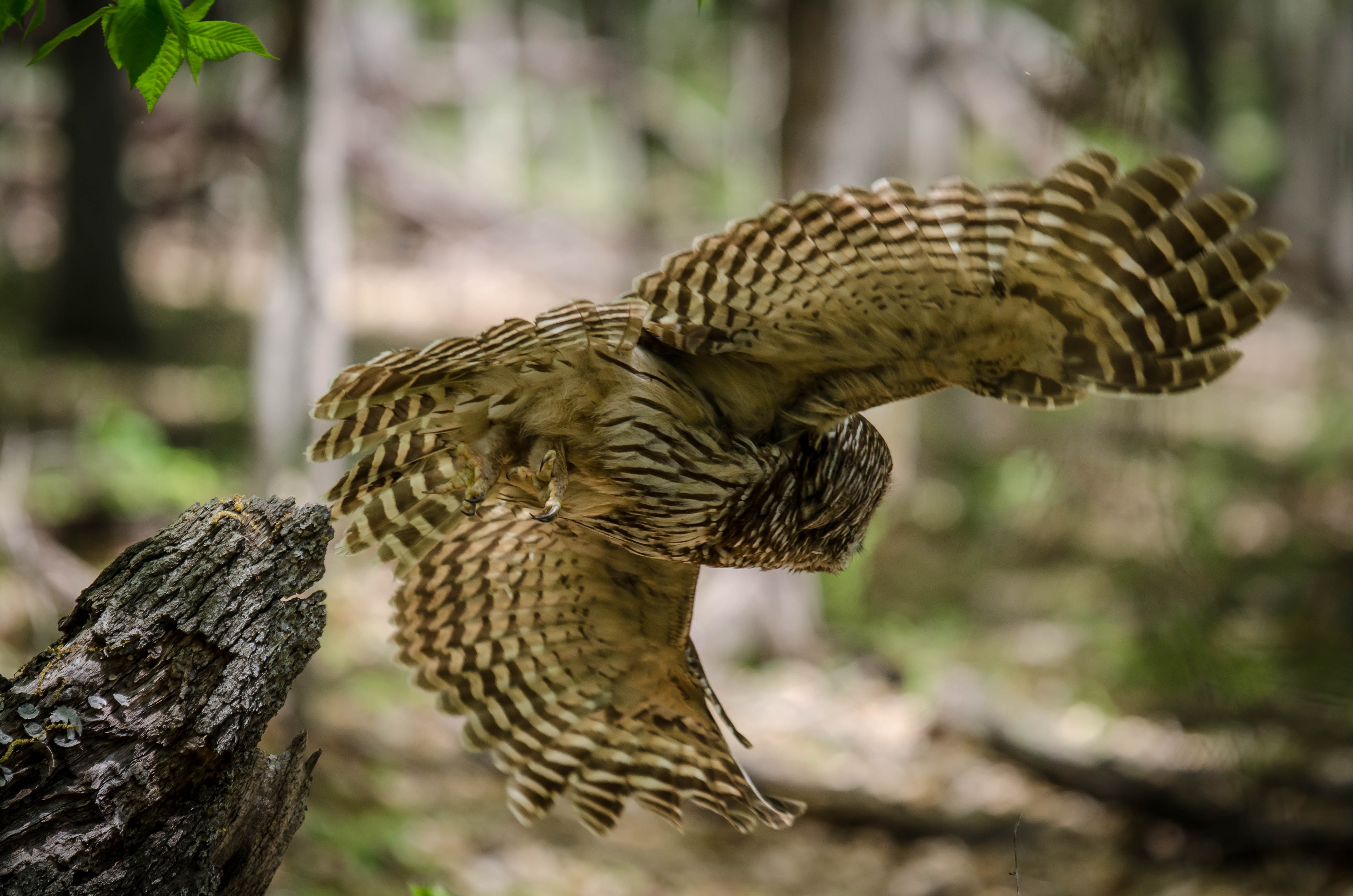 Photography workshop – beginners
