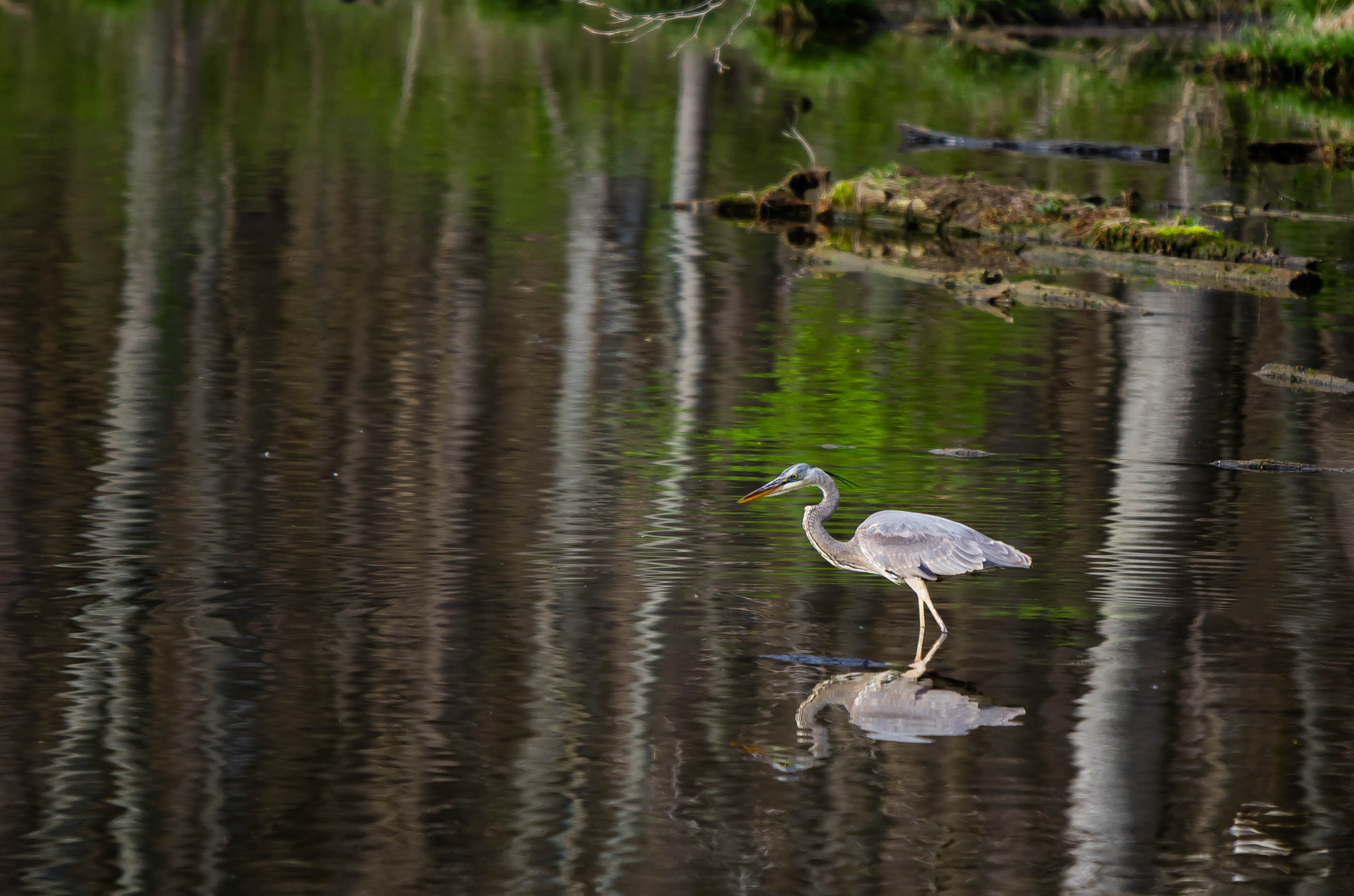 Pandian Photography